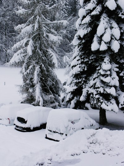 http://blog.dgbrt.ch/img/2006/schnee.jpg